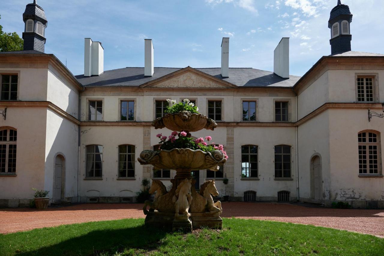 Chateau De Charmeil- Vichy Chambres D'Hotes Eksteriør bilde